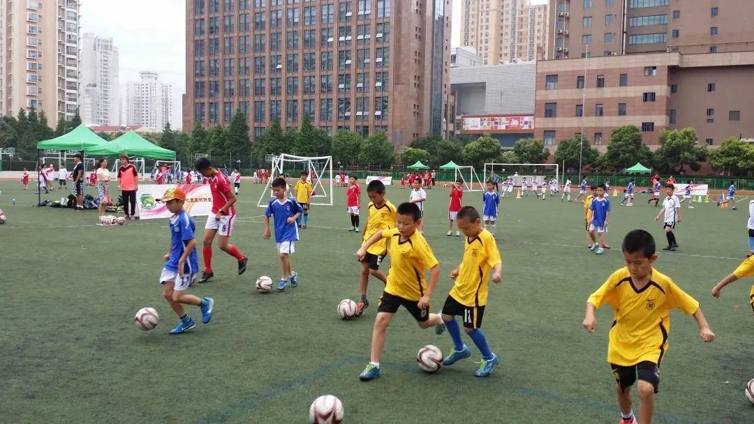 温格加入FIFA的目标：推动教育计划和全球足球发展因凡蒂诺支持新想法(图1)