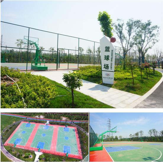 今年我省县县都将有标准体育公园(图1)
